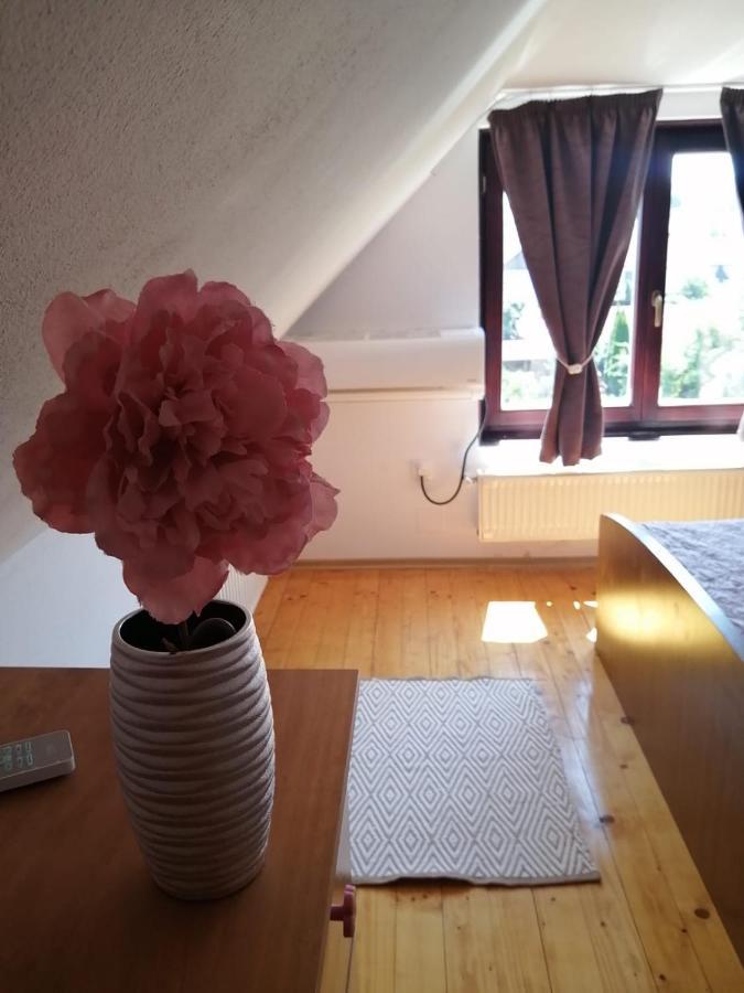 דירות אודורהיו סקוייסק Lotus Apartman מראה חיצוני תמונה